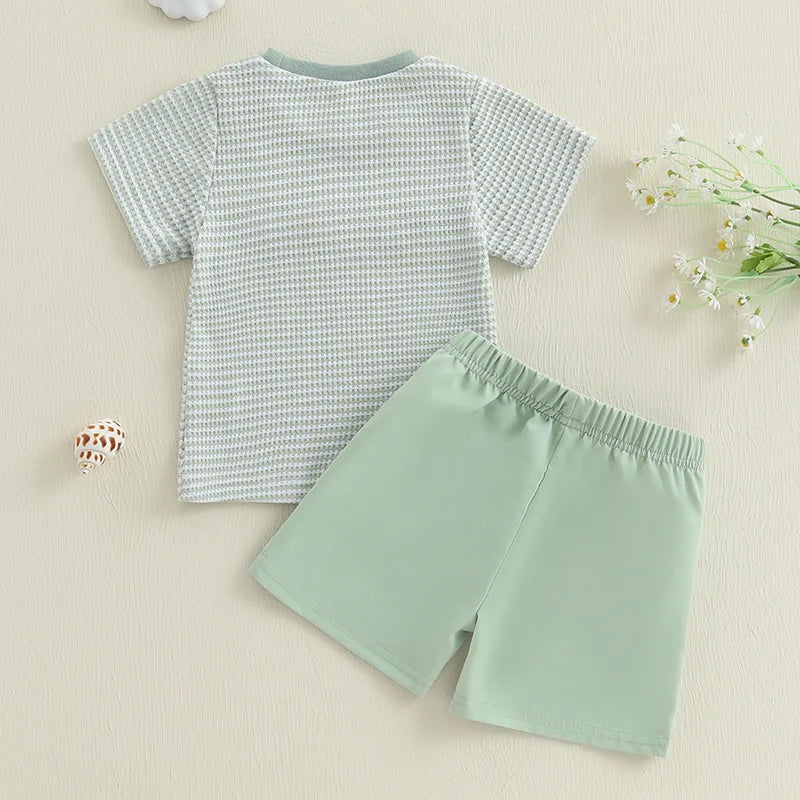 Toddler Baby Boy Shorts Set Fish/Duck Embroidery Short Sleeve T-shirt Solid/Plaid Shorts 2 Piece Summer Set