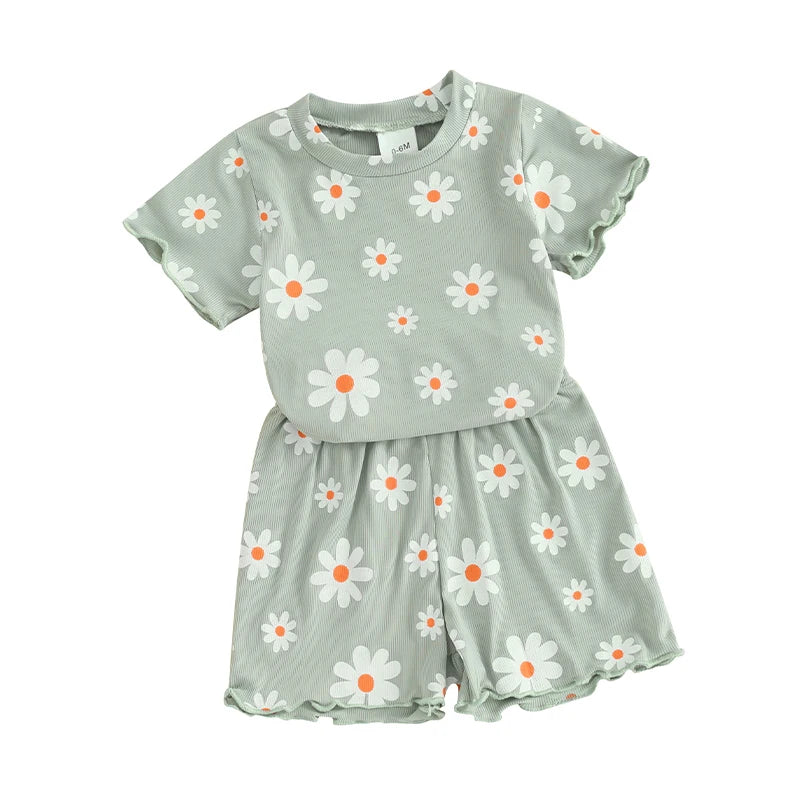 Toddler Baby Girl Summer Clothes Floral Short Sleeve Crewneck T-Shirts Shorts Set Outfit