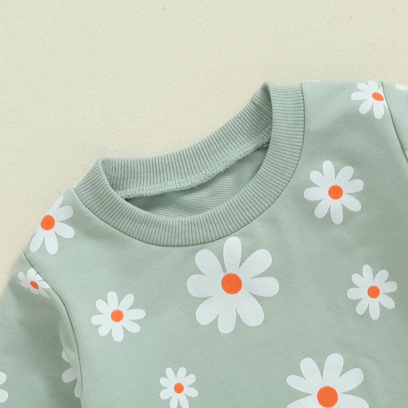 Little Girl 2 Piece Fall Outfit, Flower Print Long Sleeve Sweatshirt Elastic Waist Pants with Pockets