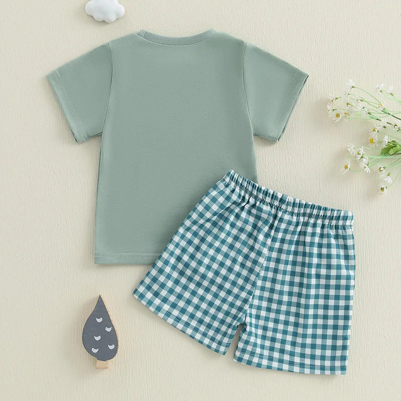 Toddler Baby Boy Shorts Set Fish/Duck Embroidery Short Sleeve T-shirt Solid/Plaid Shorts 2 Piece Summer Set